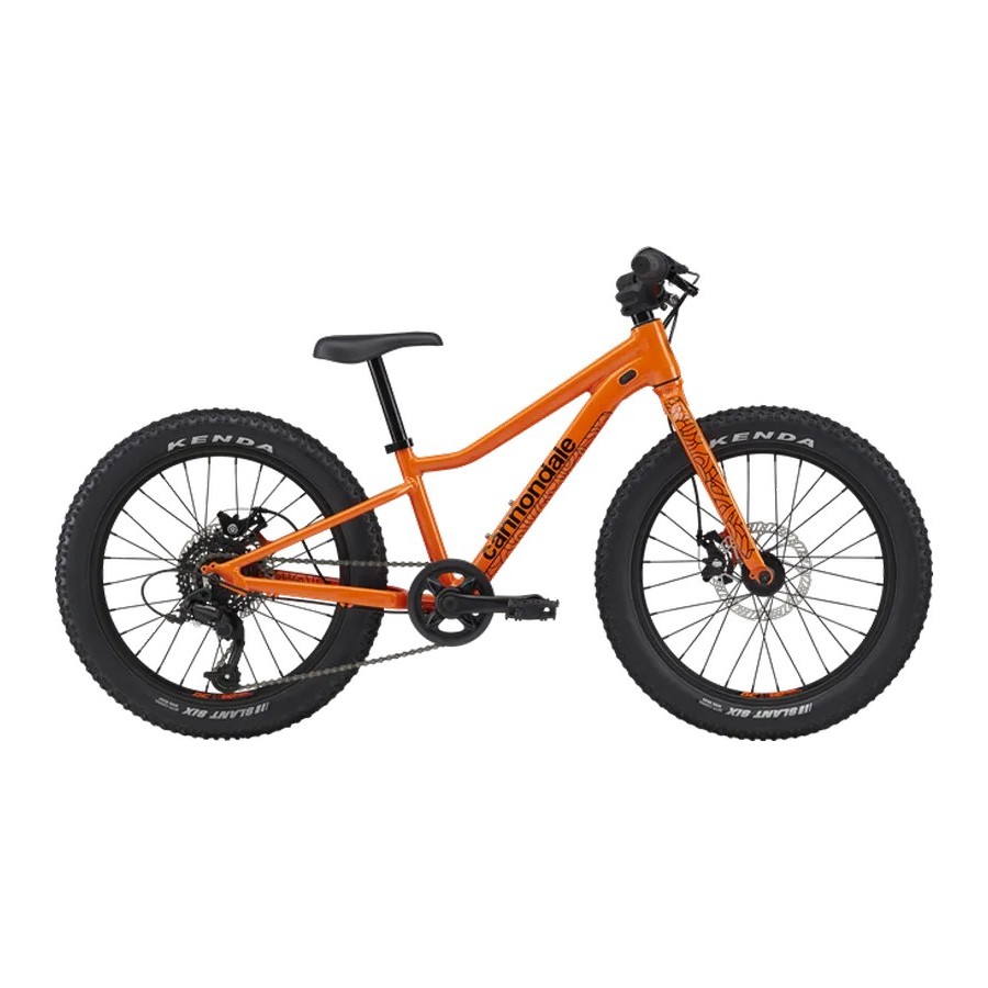 Kids Trail Plus 20" - vtt enfant 20 pouces - Cannondale