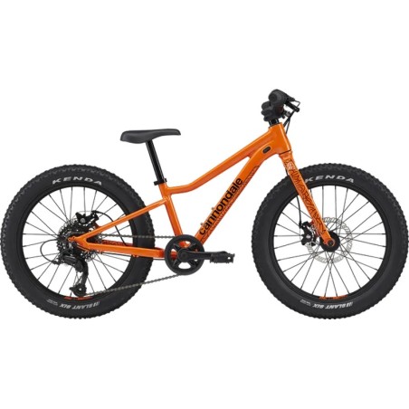 Kids Trail Plus 20" - vtt enfant 20 pouces - Cannondale