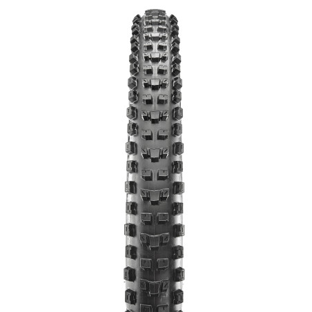 DISSECTOR - 29X2.40 WT / TS / EXO / TBL - Pneu VTT MAXXIS