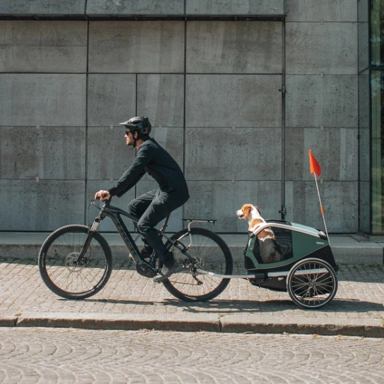 Remorque vélo pour chien - Thule Bexey M - Thule