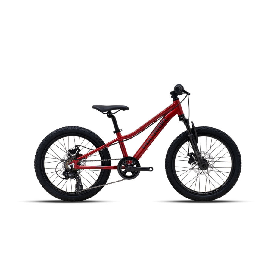 VTT Enfant 20 pouces - Relic 20 - Polygon