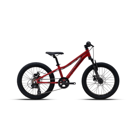 VTT Enfant 20 pouces - RELIC 20 - Polygon