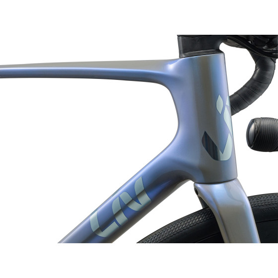 Avail Advanced 2 - 2026 - Liv