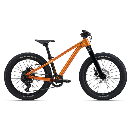 VTT Enfant STP 20 - Giant