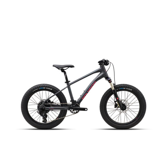 VTT Enfant 20 pouces - Cascade 20 - Polygon