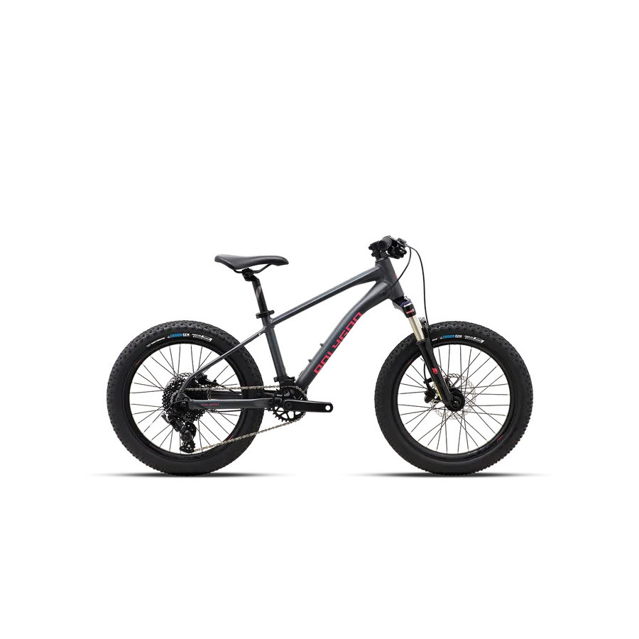 VTT Enfant 20 pouces - Cascade 20 - Polygon