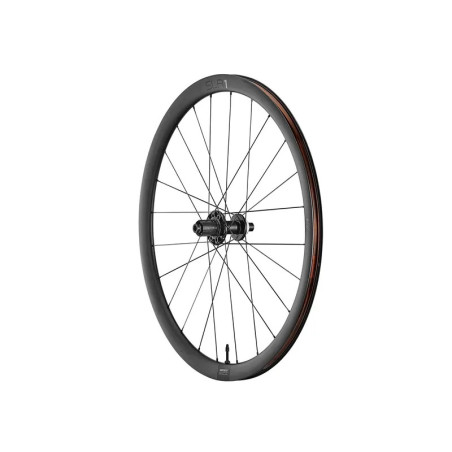 Roue Arrière SLR 1 Tubeless Disc 36MM - Giant