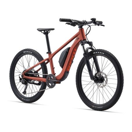 Talon E+ 24 - Velo Electrique enfant - VTT GIANT