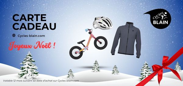 Offrez une carte cadeau pour Noël